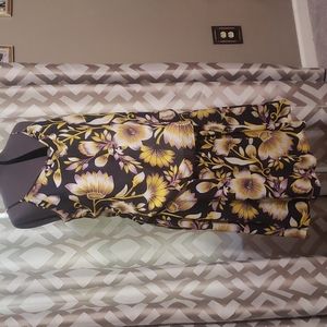 2 pc s Ann Taylor set.